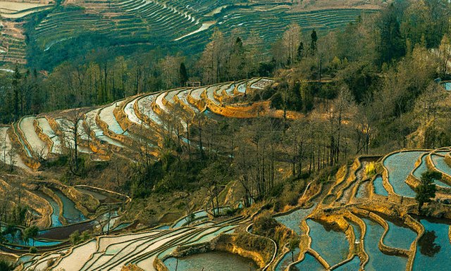 Yunnan