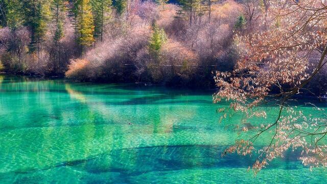 Chongqing & Jiuzhaigou · 7 Days 6 Nights Two-City Tour (Pandas + Jiuzhaigou + Songpan Tibetan Village + Hongyadong + Wulong Fairy Mountain)