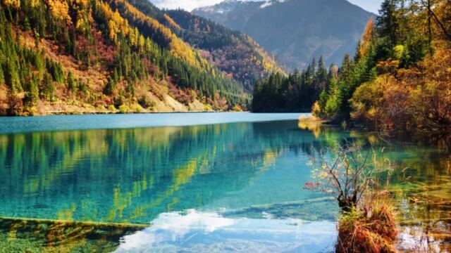 Sichuan Rhymes Jiuzhaigou · Chengdu & Jiuzhaigou 7 Days 6 Nights Slow Travel (Full-Day Jiuzhaigou + Pandas + Dujiangyan Blue Tears + Zhongshuge + Chengdu Slow Life)