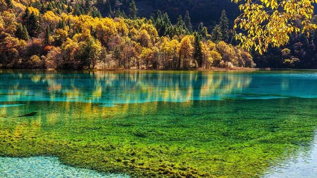 Chengdu & Jiuzhaigou 8 Days · Where Landscape Meets Culture