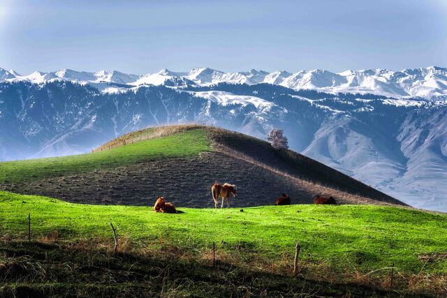 Xinjiang