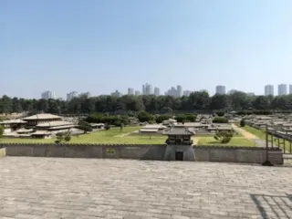 MountainSeekerRoy