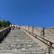HistoryPulseOwen