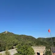HistoryPulseOwen