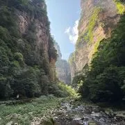 CultureVoyagerTom