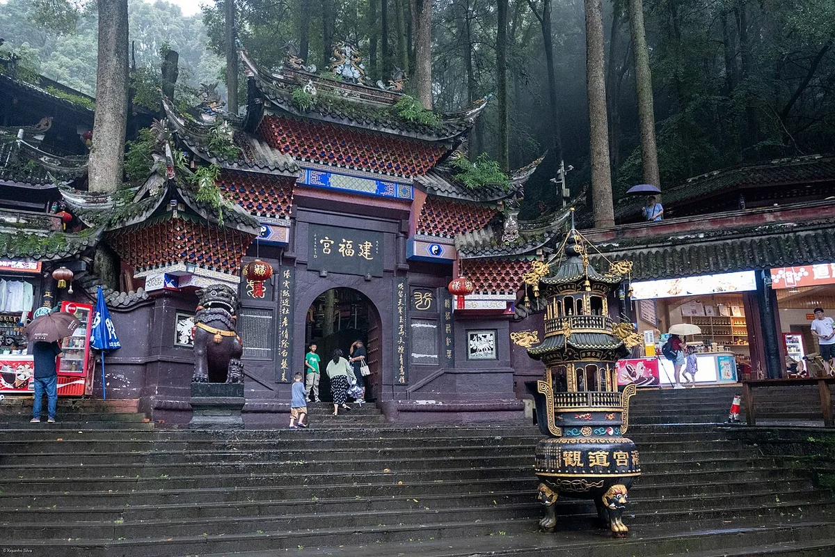 Chengdu | Panda Valley and Mount Qingcheng