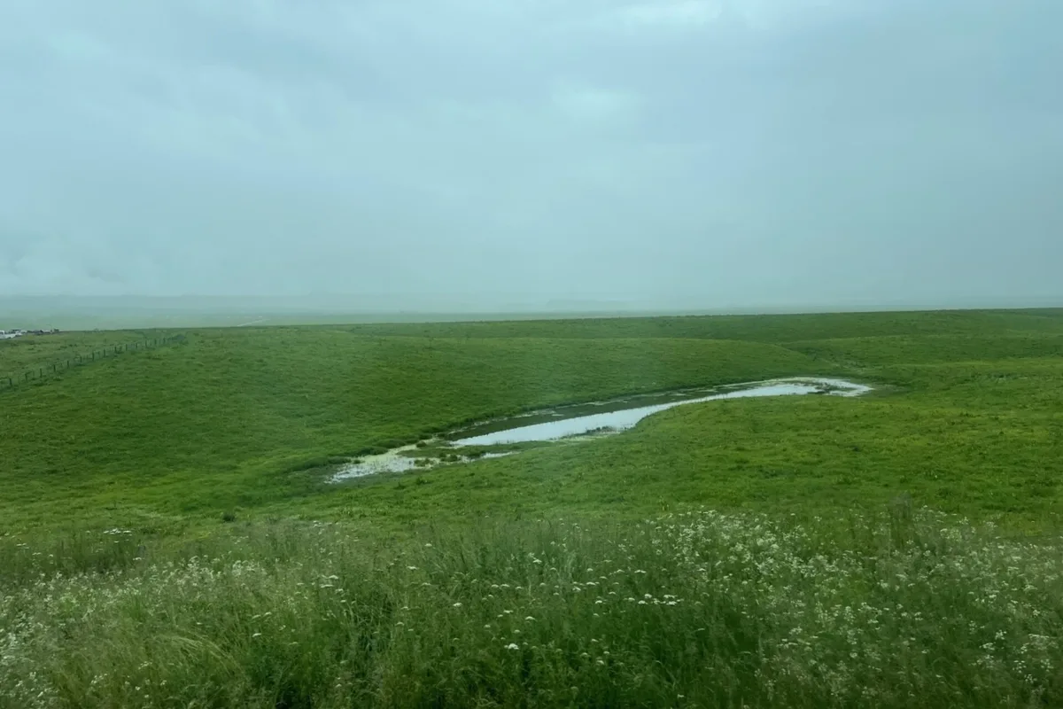 Tekes → self-drive Qiaxi Yanzi Bridge (replaced by Ku'erdening if not open) → Xinyuan / Nalati (overnight: comfortable hotel or distinctive guesthouse, Nalati)