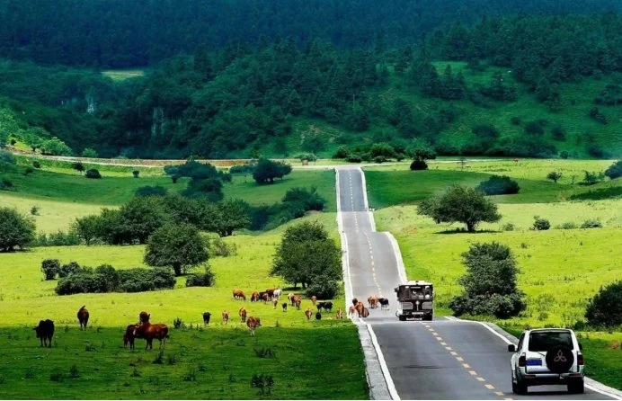 Wujiang Gallery viewpoint → Xiannv Mountain → Three Natural Bridges