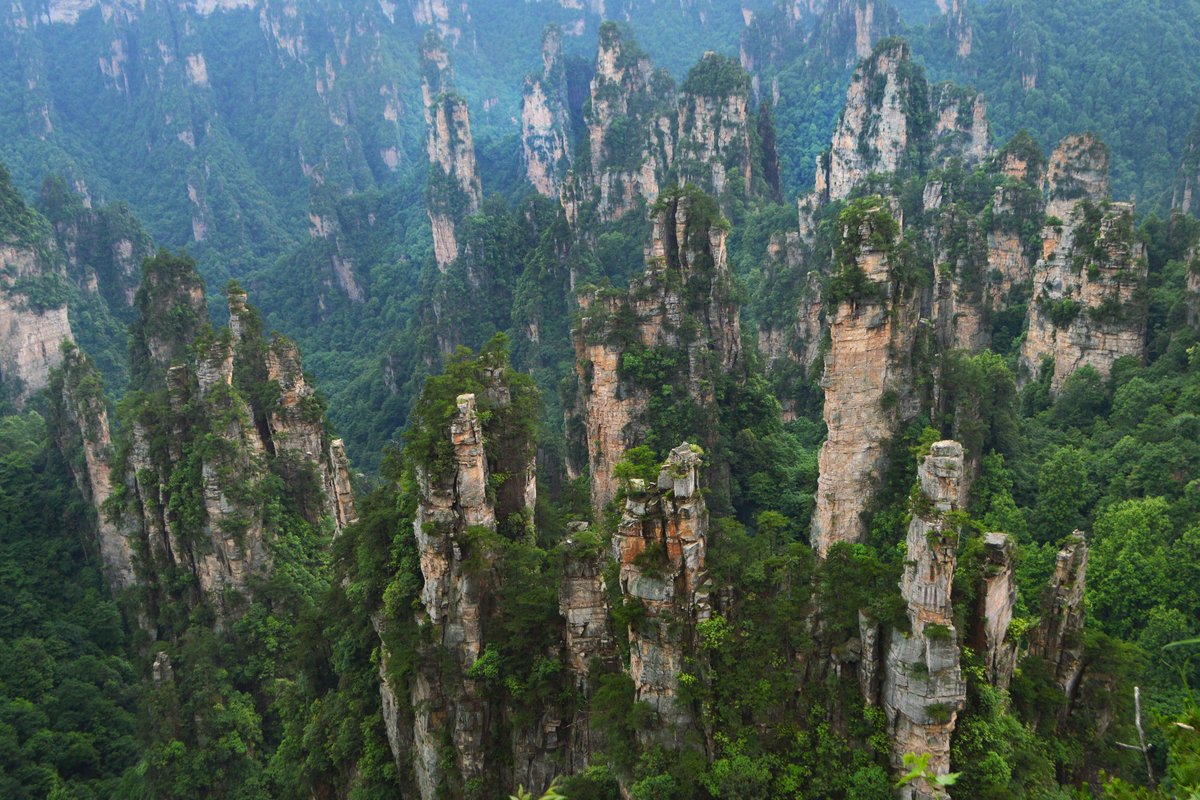 Zhangjiajie | National Forest Park