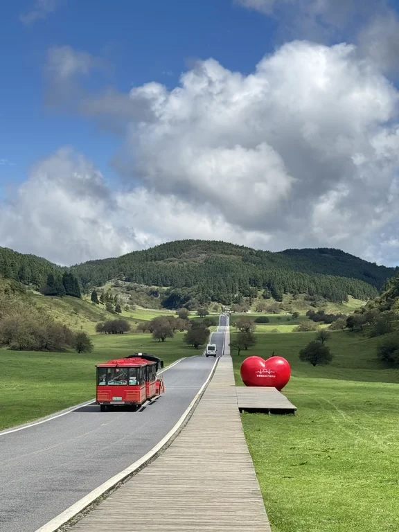 Xiannv Mountain · escape the city and enjoy life