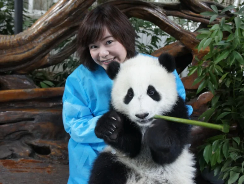 Play with the pandas up close