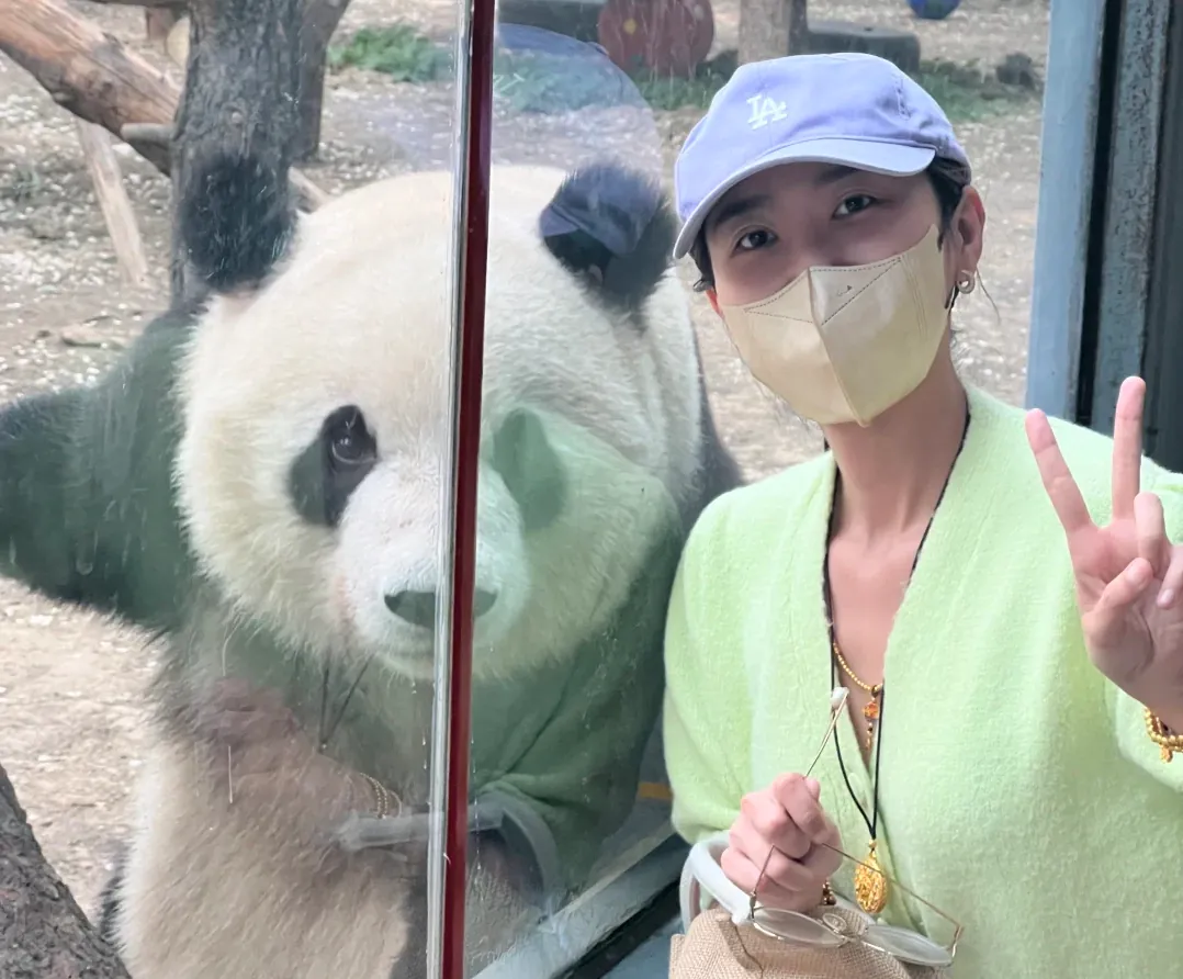 Not a zoo but a training camp for pandas returning to the wild