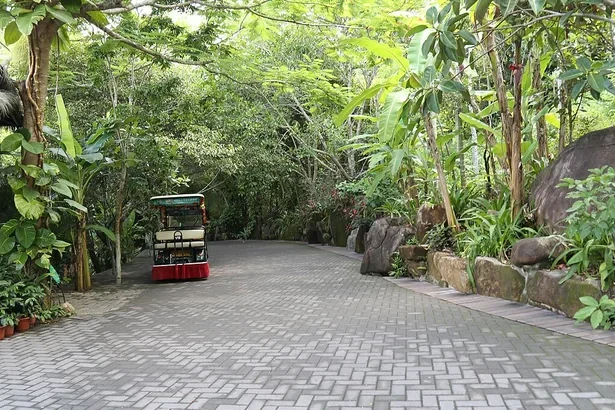 Yalong Bay Tropical Paradise Forest Park