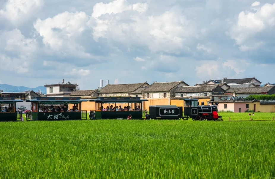Step into a Miyazaki rice-field cartoon