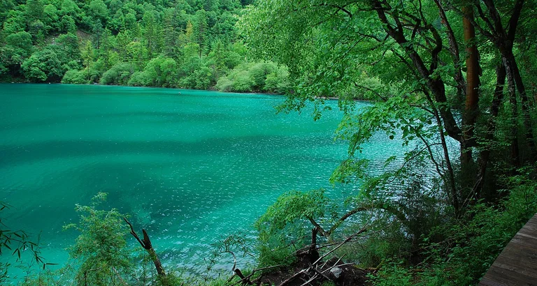 Explore the dreamlike beauty of Jiuzhaigou Valley