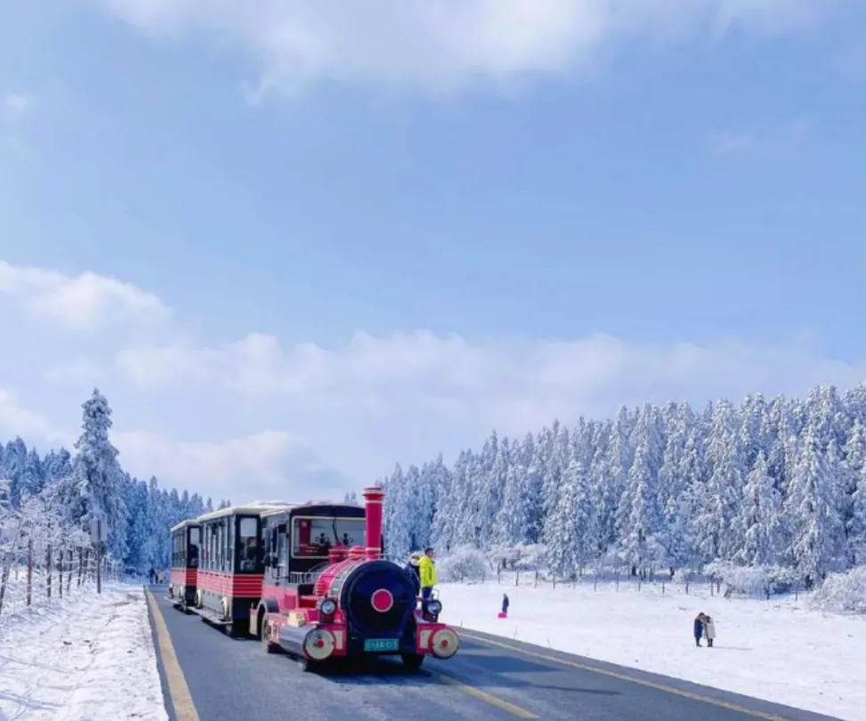The great grassland becomes a snow playground
