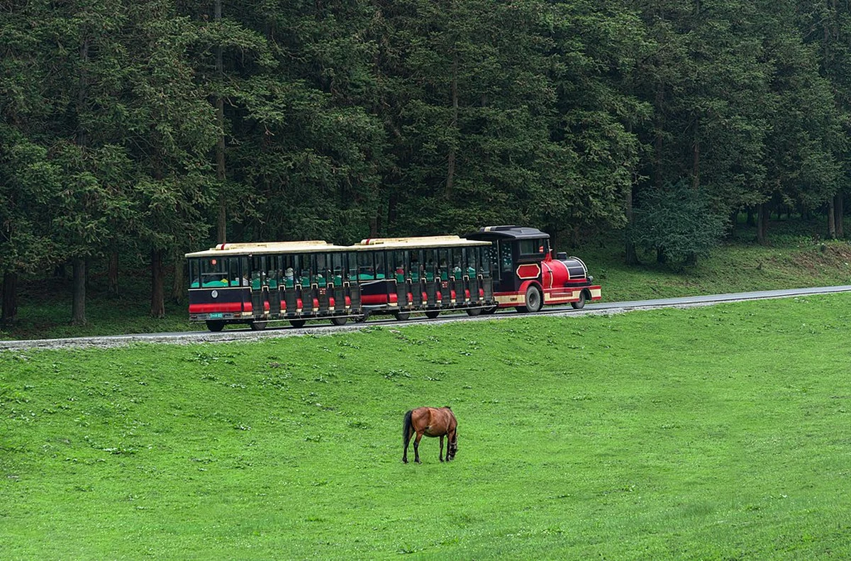 A stroll through a Chinese Eden