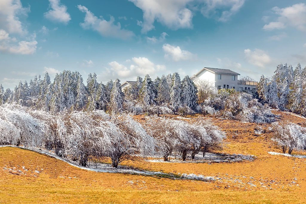 A stroll through a Chinese Eden