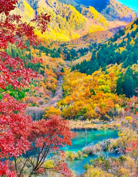 Walk into the painter's palette that is Jiuzhaigou