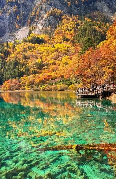 Walk into the painter's palette that is Jiuzhaigou