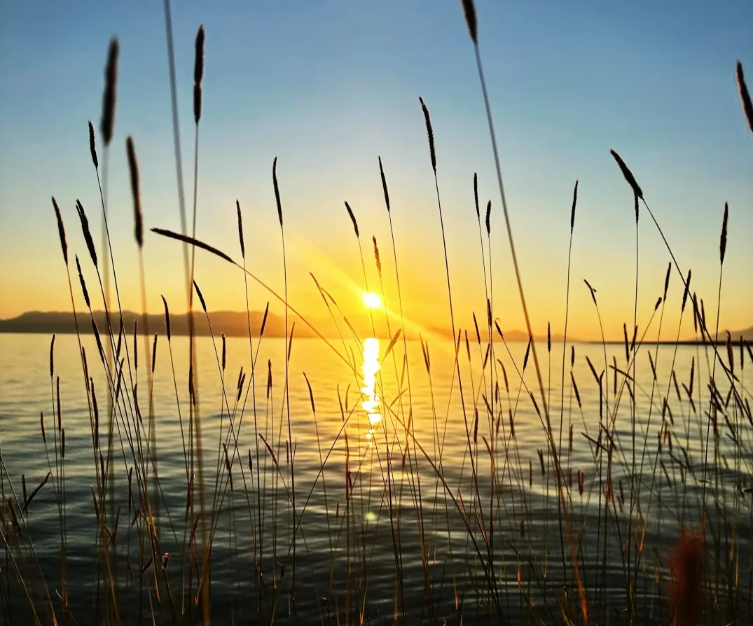 Blue-Hour Afternoon Tea at Sayram Lake