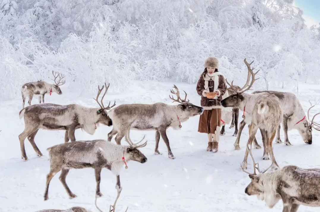 Hemu Photo Session + Water-to-Ice + Reindeer Frame