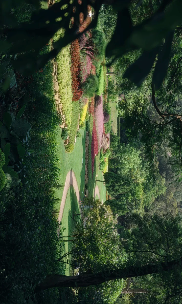 Wanshi Botanical Garden · A Tropical Rainforest and Succulent Kingdom in the City