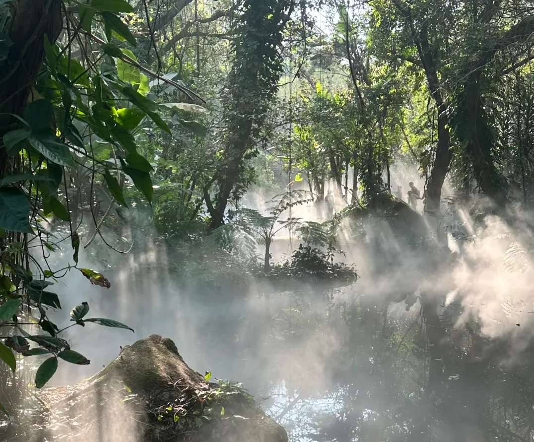 Wanshi Botanical Garden · A Tropical Rainforest and Succulent Kingdom in the City