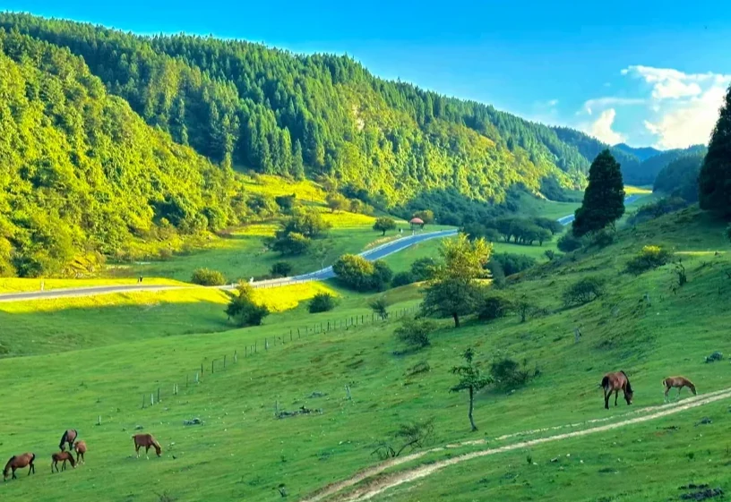 Xiannv Mountain · a magical camel ride