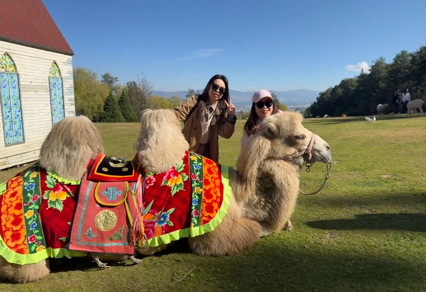 Xiannv Mountain · a magical camel ride