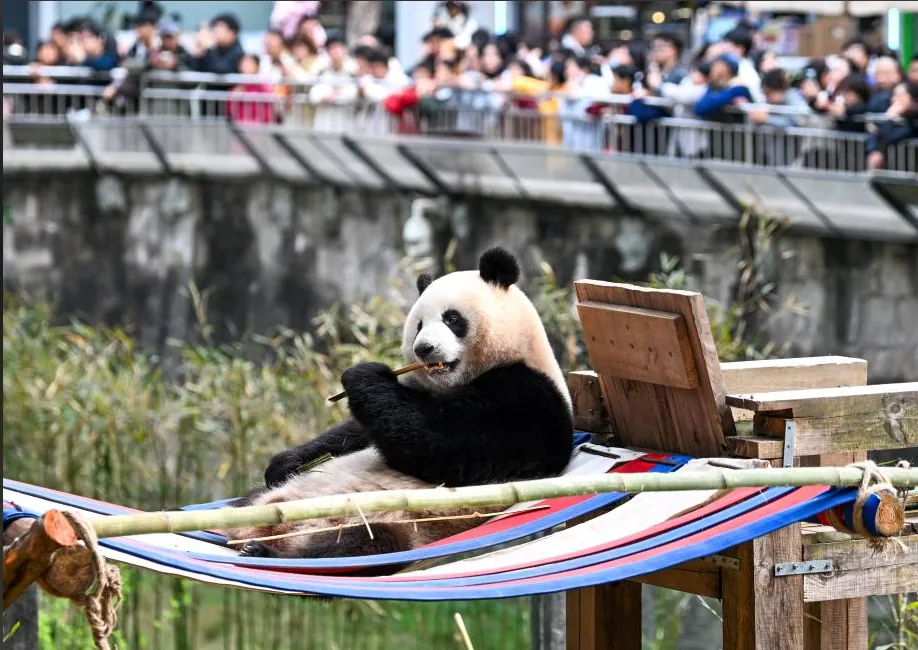 Chongqing Playland · 4 Days 3 Nights (family friendly)