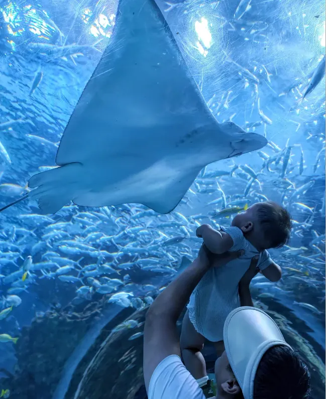 An ocean park designed for children — fun without the effort
