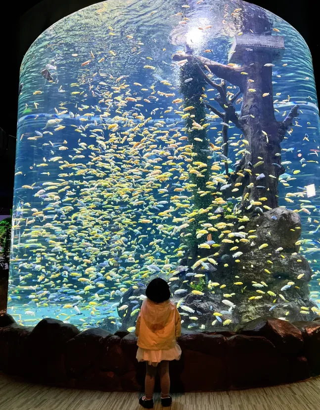An ocean park designed for children — fun without the effort