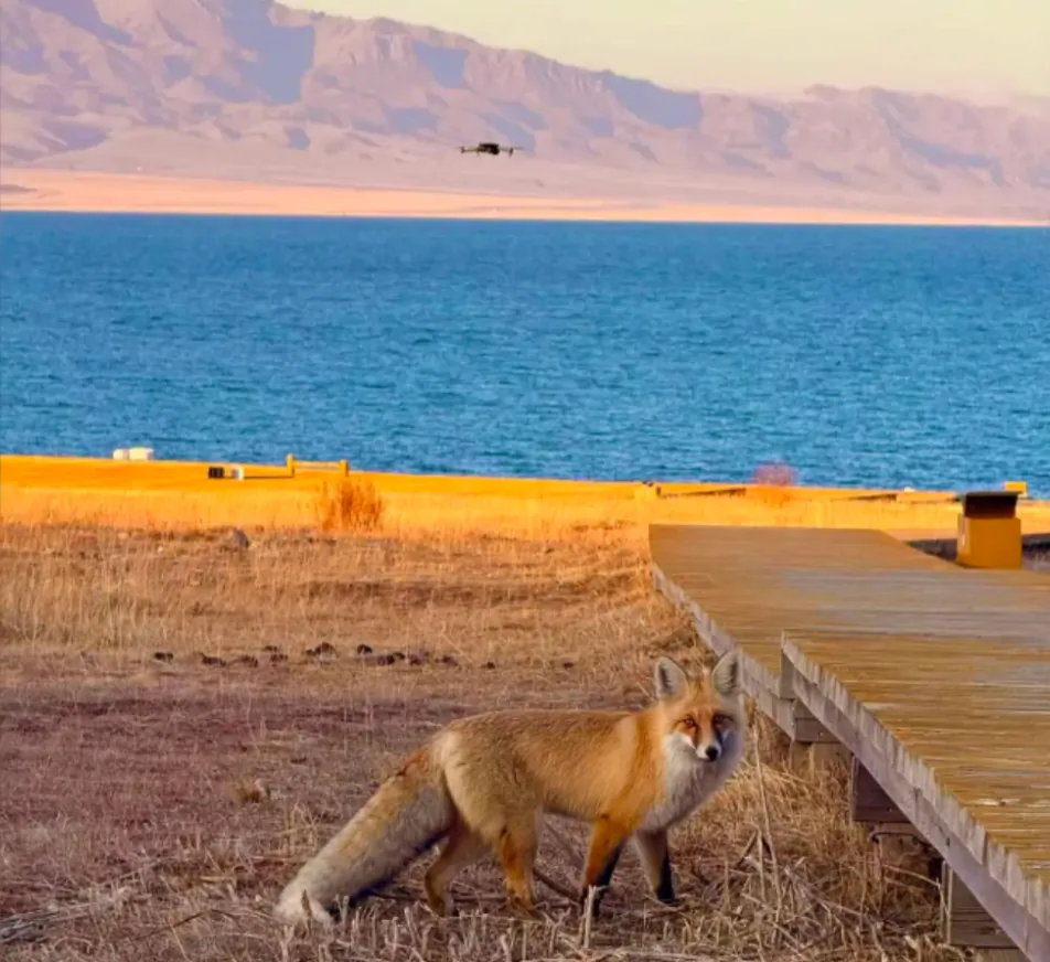 A 90-kilometre self-drive loop — every brake is a view