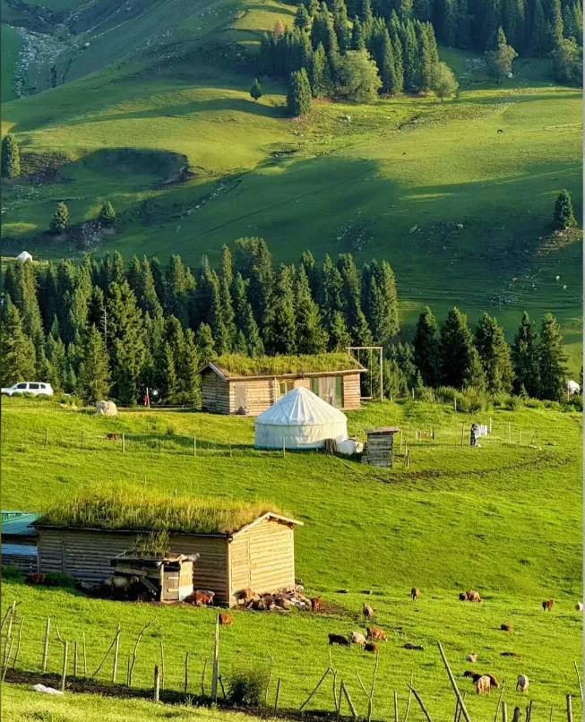The Switzerland of the East at the foot of Tianshan, holding Ili's most pristine grassland secret
