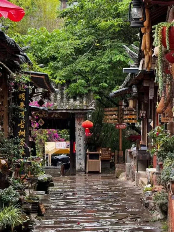 Shaxi Old Town · The Old Market of the Tea Horse Road