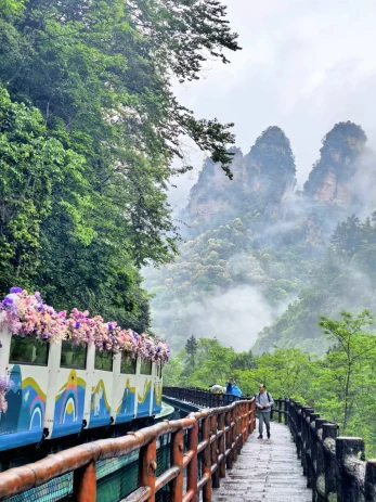 An immersive walk through the heart of Wulingyuan