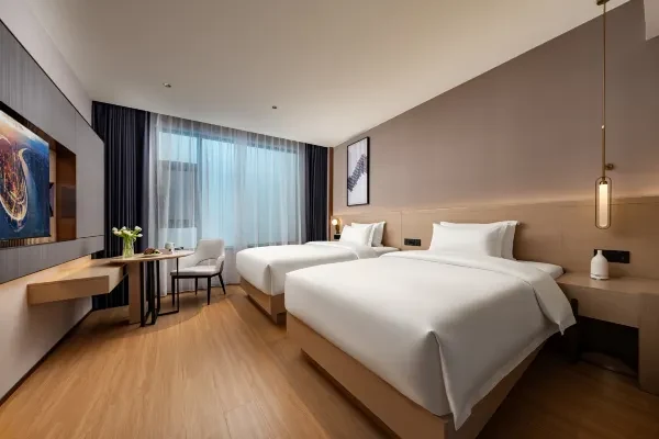 Hotel Standard