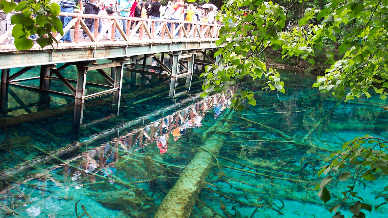 Jiuzhaigou In Depth: Four Hard Rules, How to Walk the Y, and Whether to Add Huanglong
