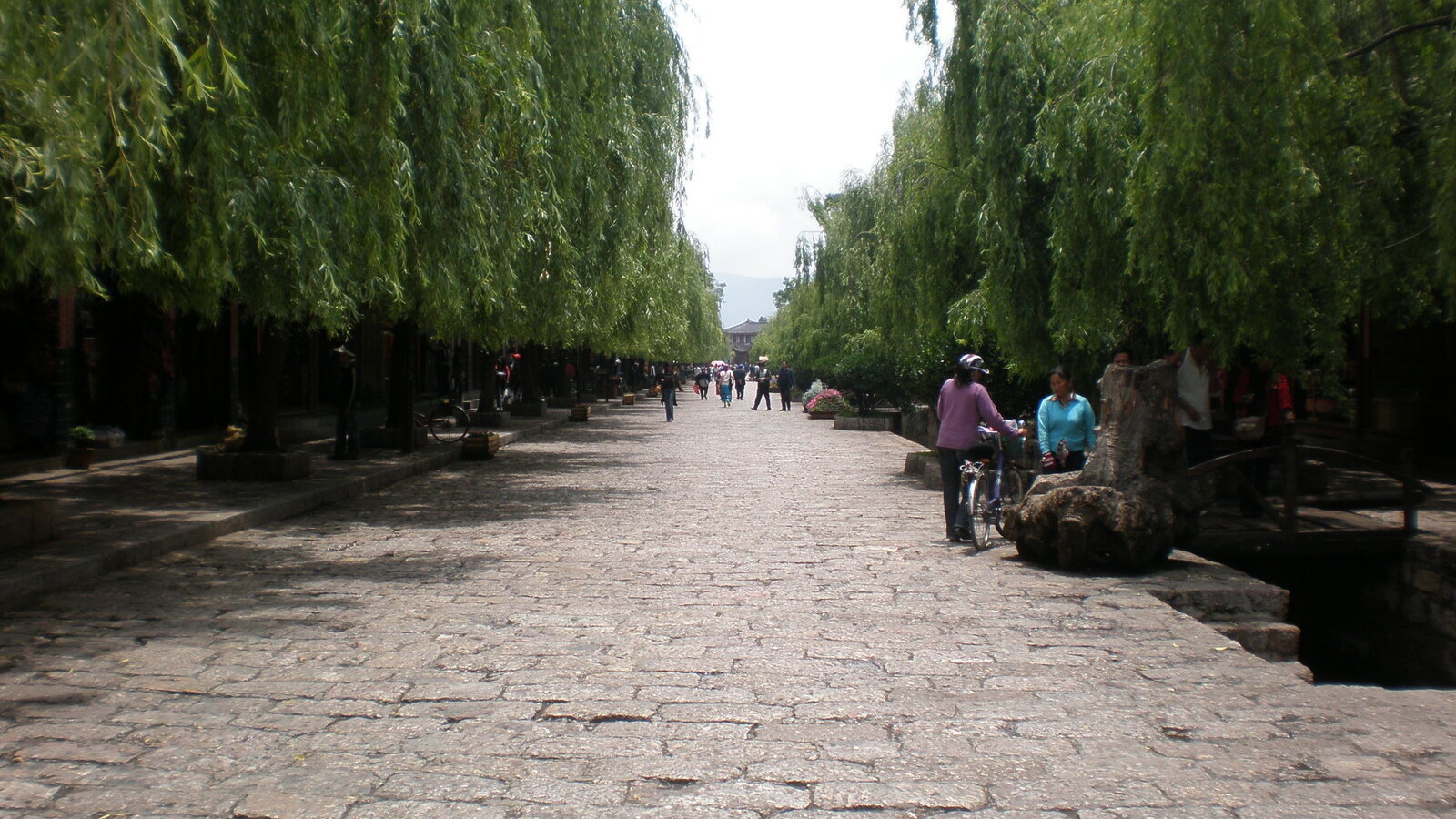 Lijiang In Depth: Winning the Yulong Cable Car, Choosing Among Three Old Towns, and Lugu Lake