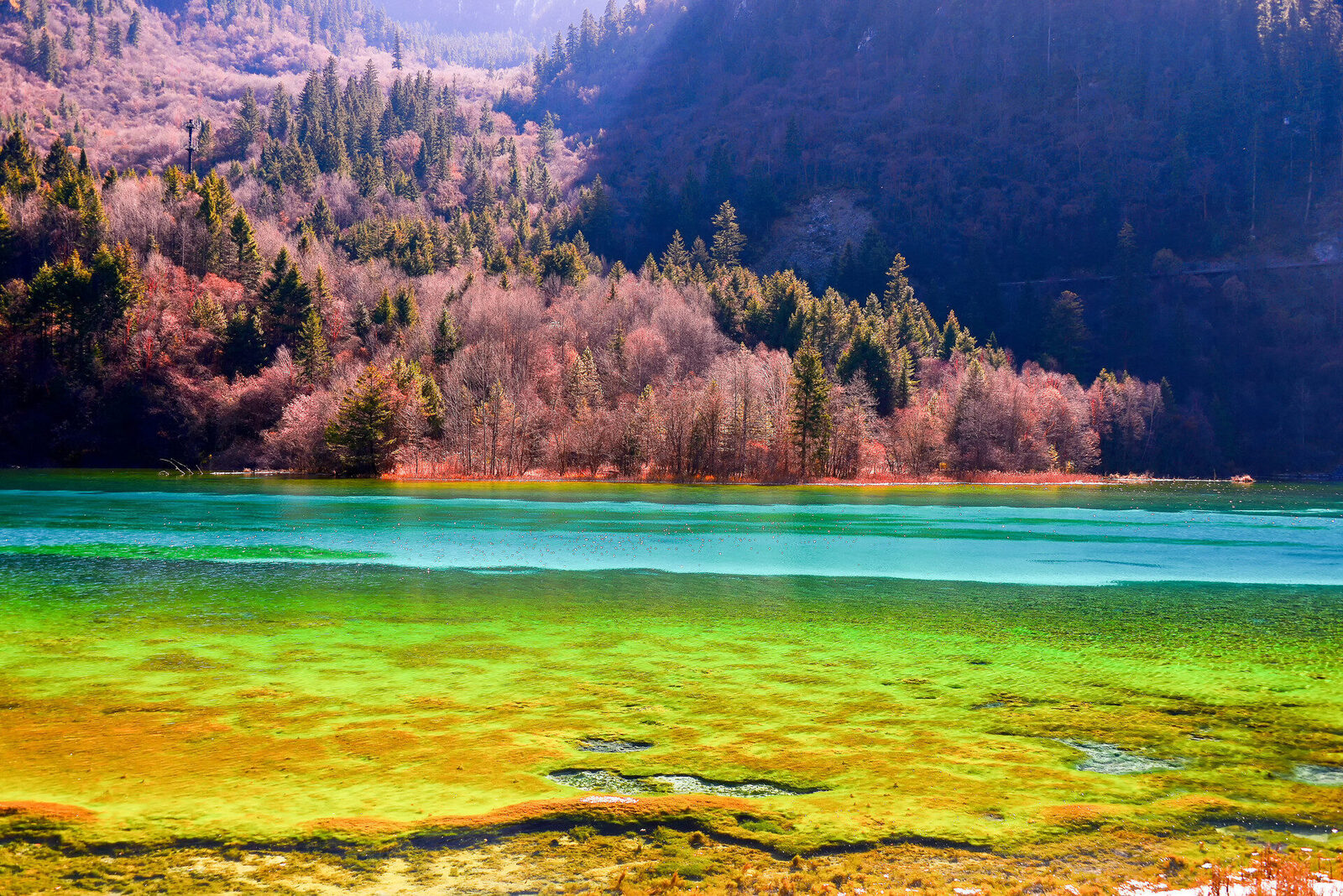 Turquoise water of Five Flower Lake in Jiuzhaigou