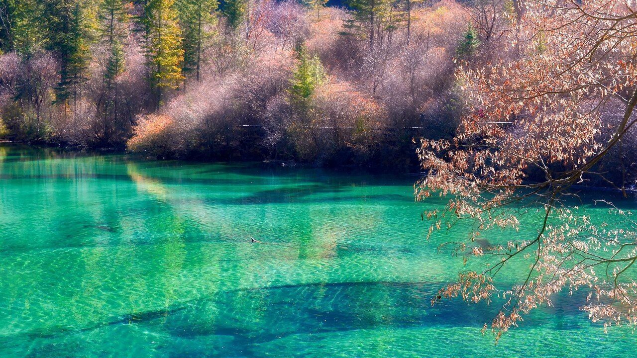 Chongqing & Jiuzhaigou · 7 Days 6 Nights Two-City Tour (Pandas + Jiuzhaigou + Songpan Tibetan Village + Hongyadong + Wulong Fairy Mountain)
